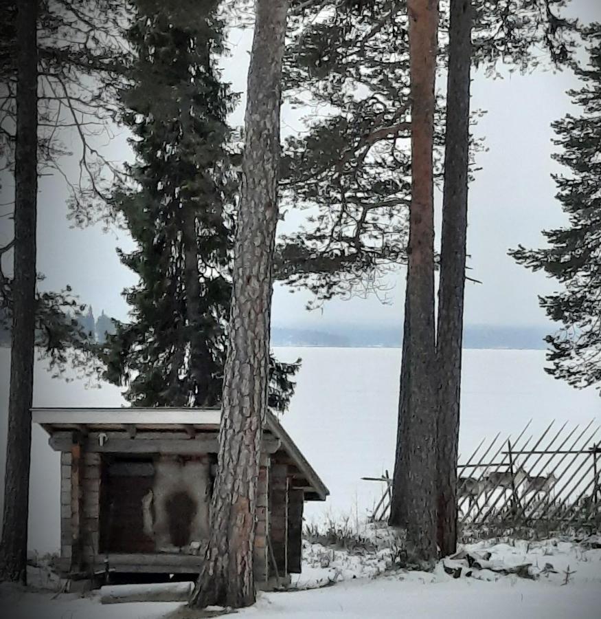 Chalet Norva Rovaniemi Ngoại thất bức ảnh