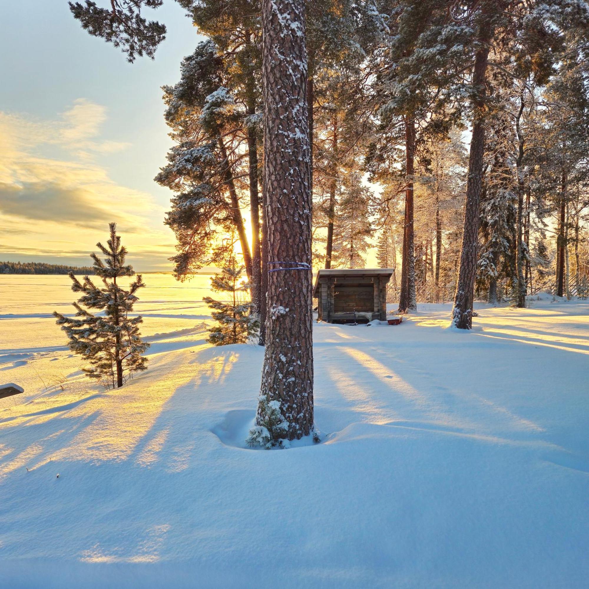 Chalet Norva Rovaniemi Ngoại thất bức ảnh