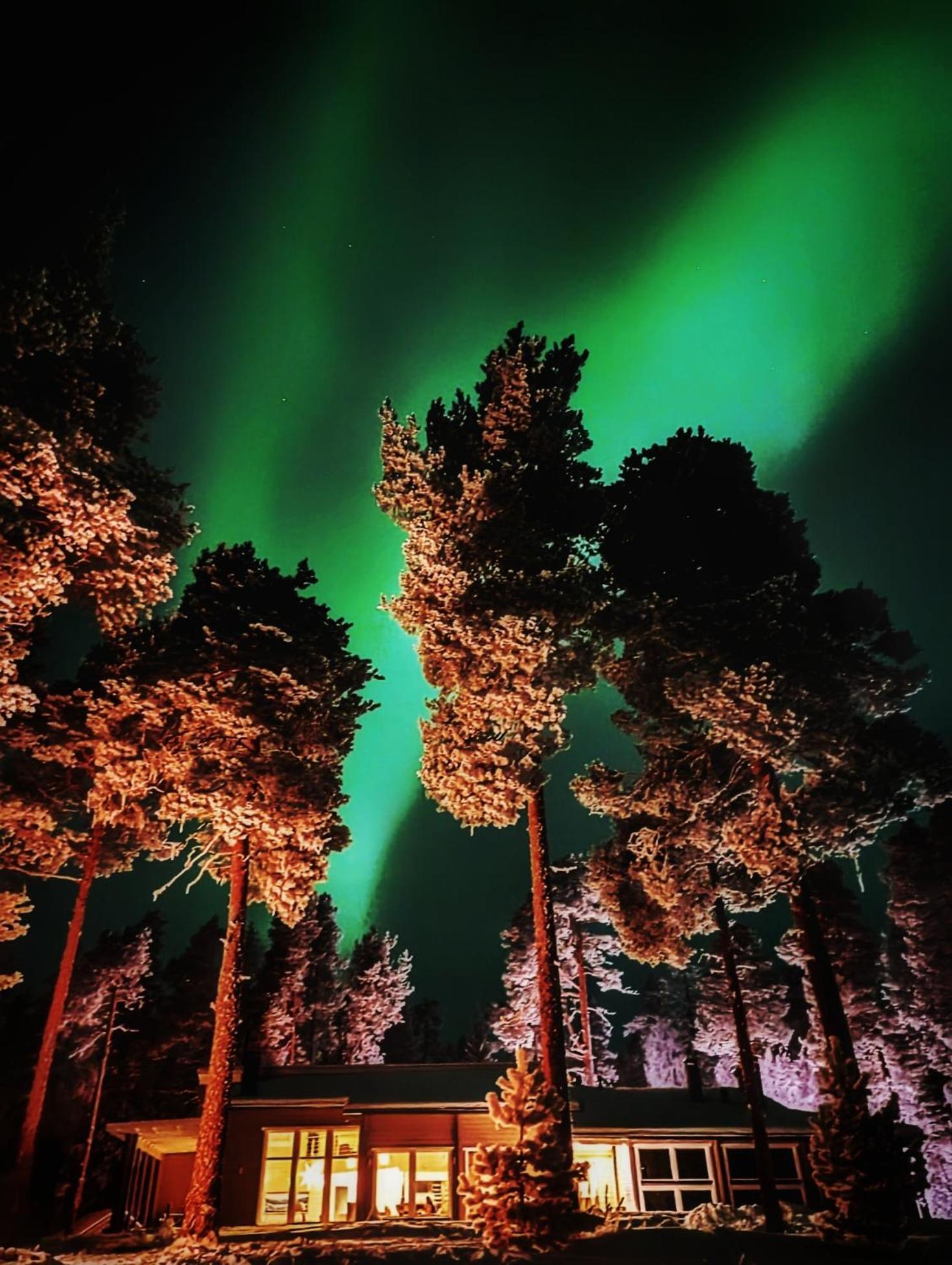 Chalet Norva Rovaniemi Ngoại thất bức ảnh